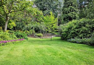 Optimiser l'expérience du jardin à Lieramont